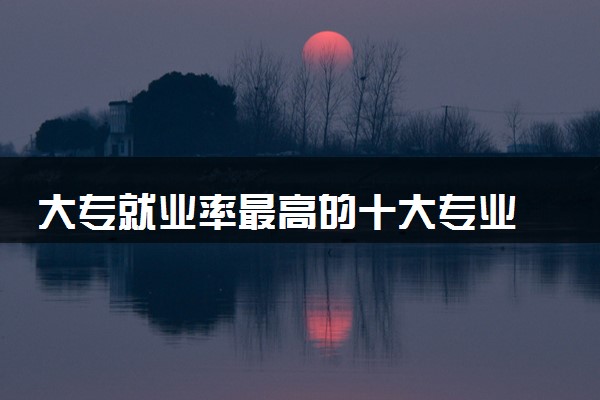 大专就业率最高的十大专业 2024哪些最有前途