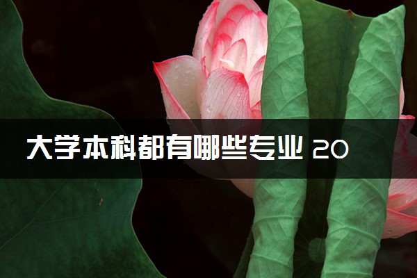 大学本科都有哪些专业 2024哪些就业前景好