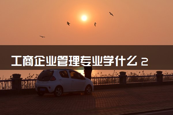 工商企业管理专业学什么 2024就业方向有什么