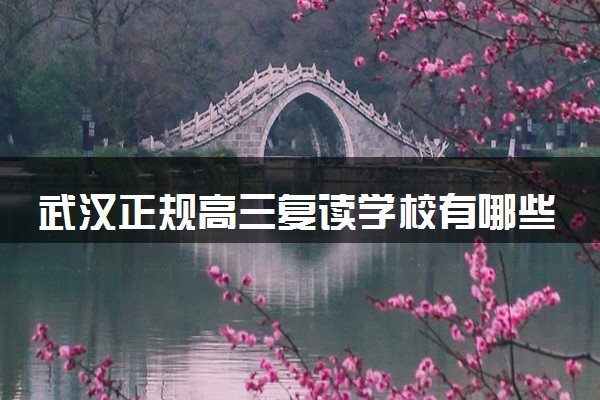 武汉正规高三复读学校有哪些 最好的是哪所
