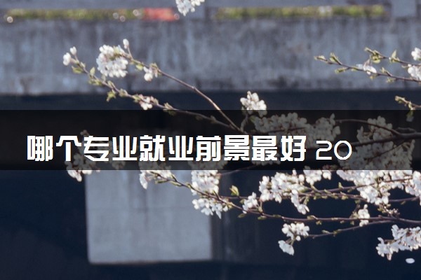 哪个专业就业前景最好 2024未来最有发展前途的专业