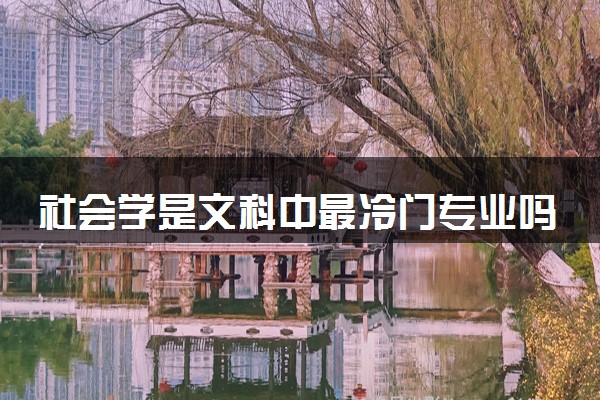社会学是文科中最冷门专业吗 2024就业前景怎么样