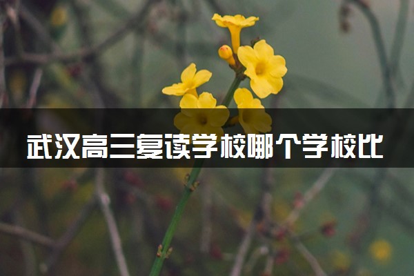 武汉高三复读学校哪个学校比较好 最推荐哪个