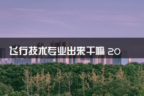 飞行技术专业出来干嘛 2024就业方向有哪些
