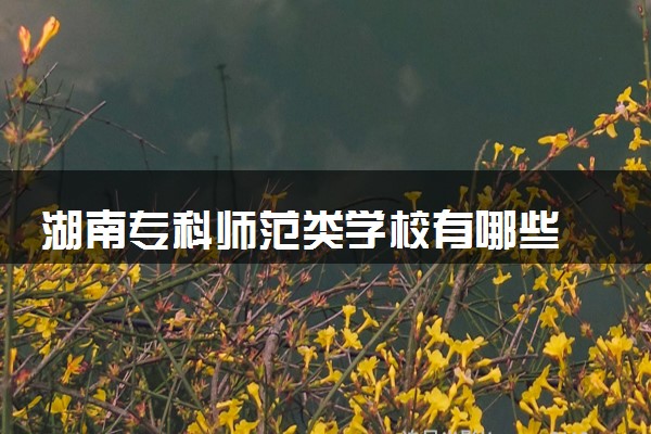 湖南专科师范类学校有哪些 2024值得报的院校推荐