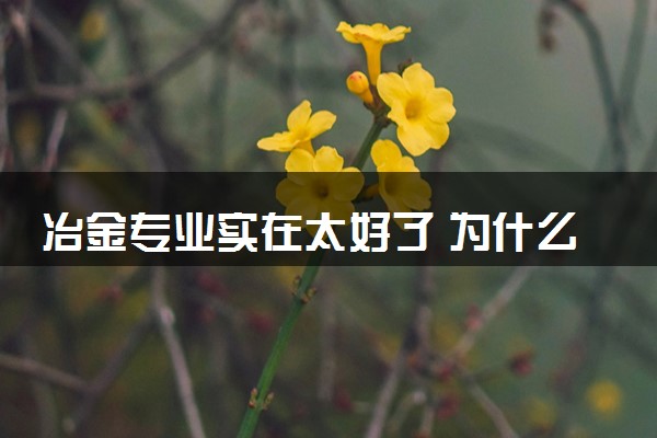 冶金专业实在太好了 为什么这么说