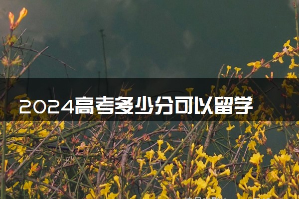 2024高考多少分可以留学 申请国外大学条件