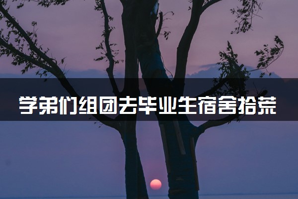 学弟们组团去毕业生宿舍拾荒 避免浪费满载而归