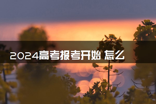 2024高考报考开始 怎么报志愿录取几率大