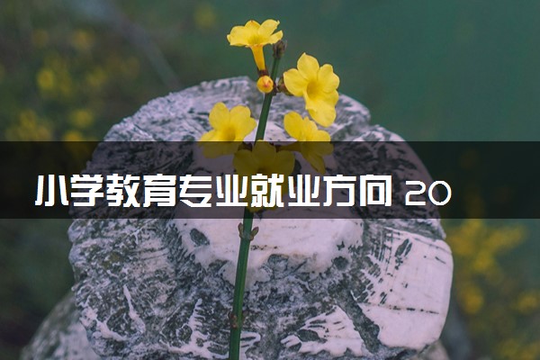 小学教育专业就业方向 2024未来就业前景怎么样