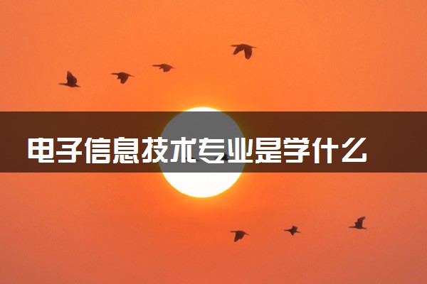 电子信息技术专业是学什么 2024就业方向有哪些
