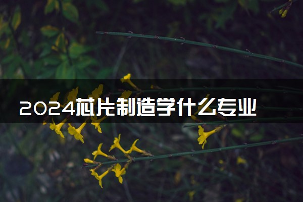 2024芯片制造学什么专业 好找工作吗