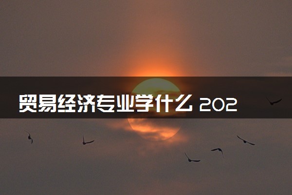 贸易经济专业学什么 2024有哪些课程