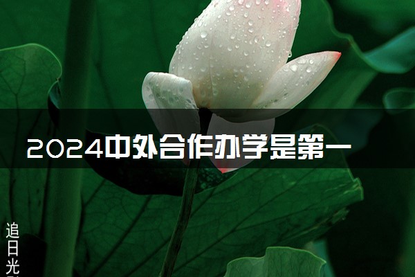 2024中外合作办学是第一批次录取的吗 是提前批吗