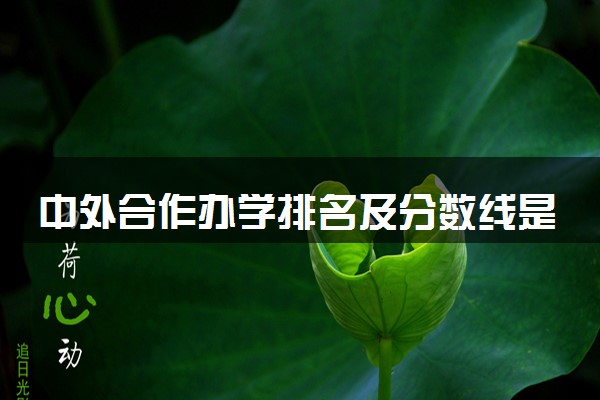 中外合作办学排名及分数线是多少（2024高考参考）