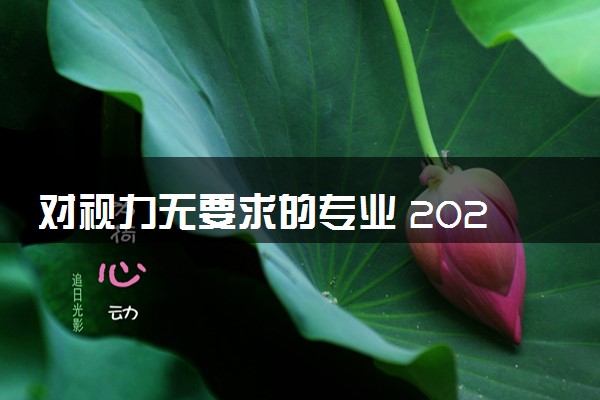 对视力无要求的专业 2024可以报哪些专业