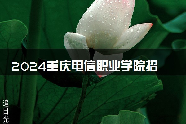 2024重庆电信职业学院招生章程 录取规则是什么