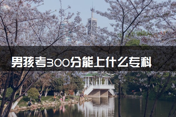 男孩考300分能上什么专科 2024哪些值得报考