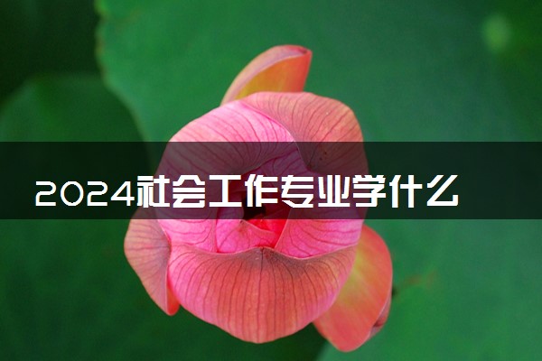 2024社会工作专业学什么 有哪些就业方向
