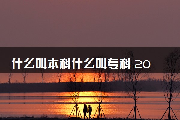 什么叫本科什么叫专科 2024有什么区别