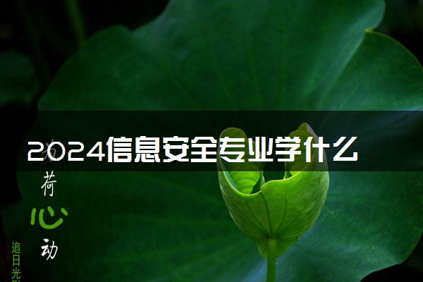2024信息安全专业学什么 专业课有哪些
