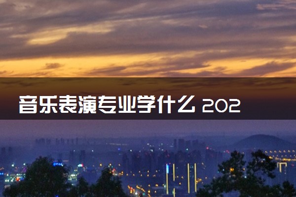 音乐表演专业学什么 2024就业前景及方向分析