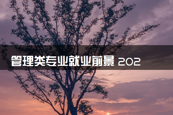 管理类专业就业前景 2024就业方向有哪些