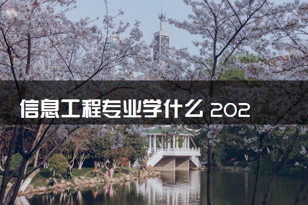 信息工程专业学什么 2024就业前景好不好