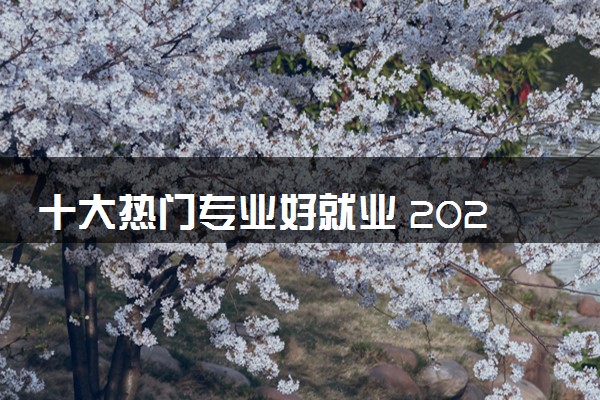 十大热门专业好就业 2024哪些专业前途好
