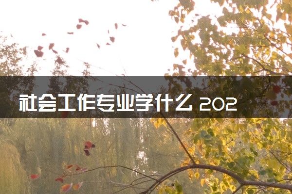 社会工作专业学什么 2024专业前景怎么样