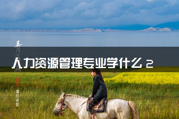 人力资源管理专业学什么 2024好找工作吗