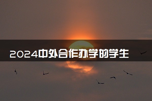 2024中外合作办学的学生有保研资格吗 有限制吗