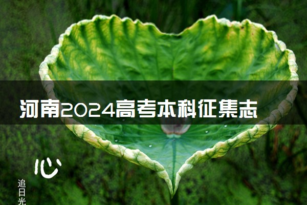 河南2024高考本科征集志愿填报时间和截止时间