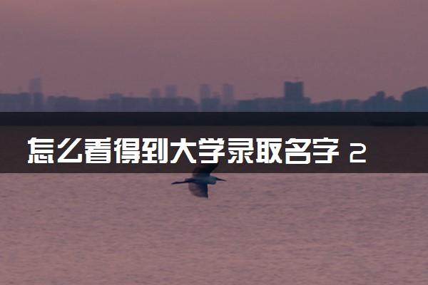 怎么看得到大学录取名字 2024怎么查录取大学