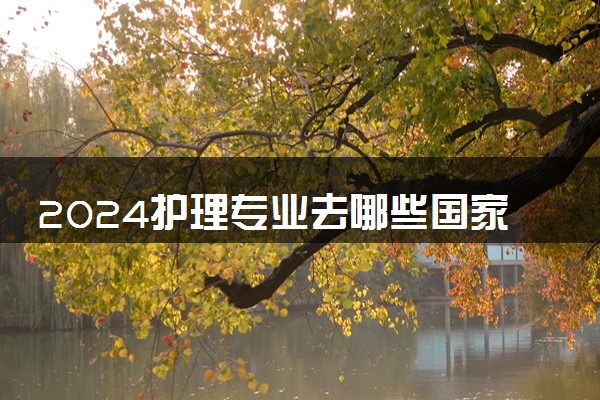 2024护理专业去哪些国家留学比较好 未来就业前景怎么样