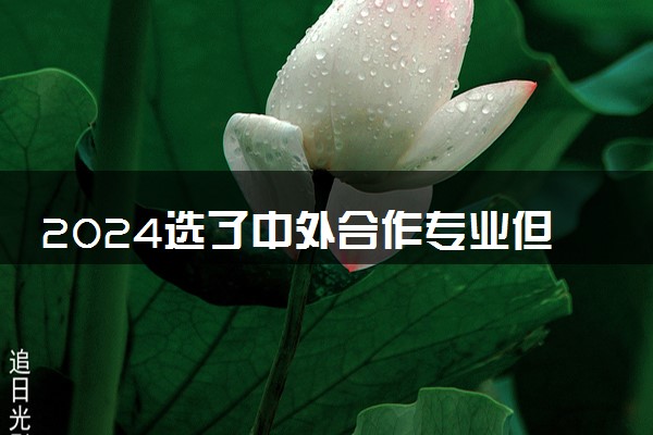 2024选了中外合作专业但不出国有用吗 想考研行吗