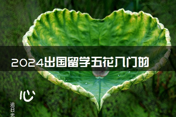 2024出国留学五花八门的商科专业该怎么选 哪些比较好