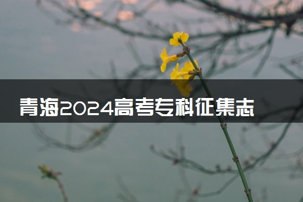 青海2024高考专科征集志愿填报时间和截止时间