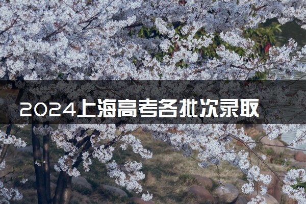 2024上海高考各批次录取结果公布时间 怎么知道被录取