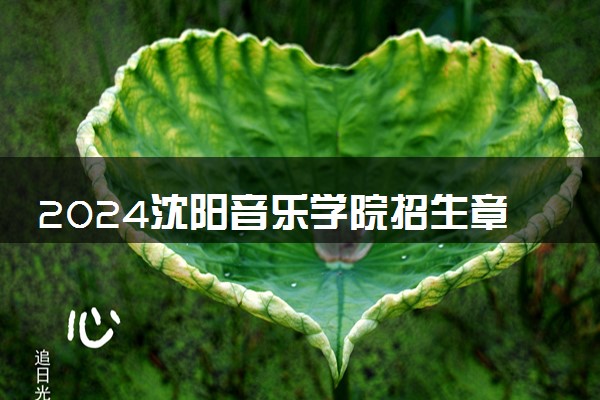 2024沈阳音乐学院招生章程 录取规则是什么