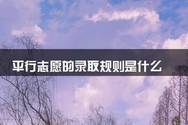 平行志愿的录取规则是什么 2024注意事项有什么
