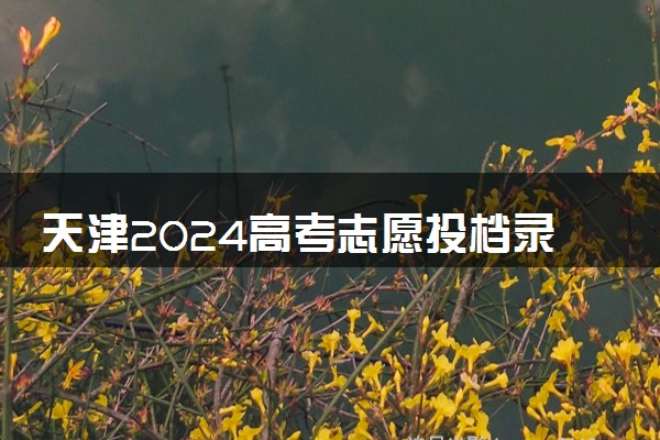 天津2024高考志愿投档录取状态查询方法及入口