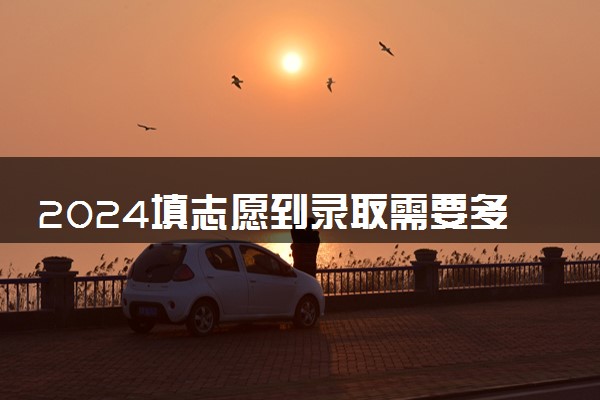 2024填志愿到录取需要多少时间 怎么查录取结果