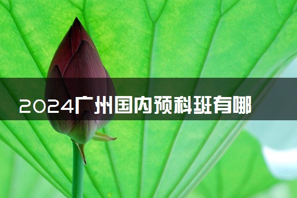 2024广州国内预科班有哪些 项目怎么样