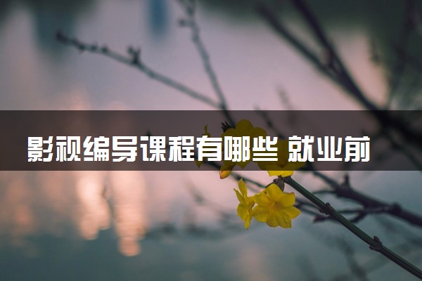 影视编导课程有哪些 就业前景好吗