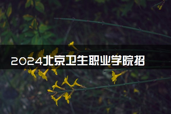 2024北京卫生职业学院招生章程 录取规则是什么