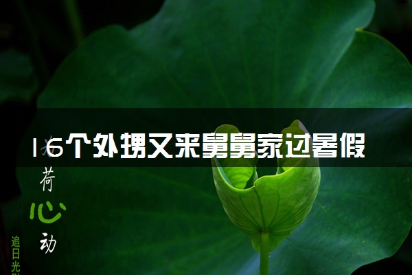 16个外甥又来舅舅家过暑假了 一支欢乐队伍涌进家门