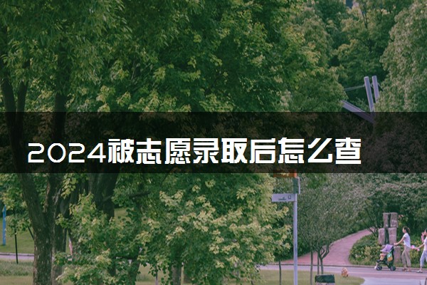 2024被志愿录取后怎么查通知书 通知书怎么辨别真假