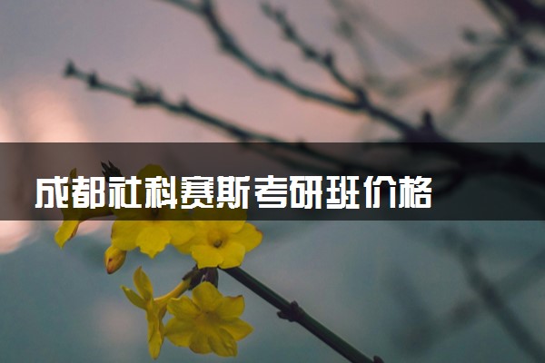 成都社科赛斯考研班价格