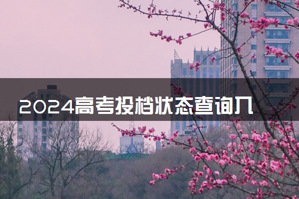 2024高考投档状态查询入口 怎么查询